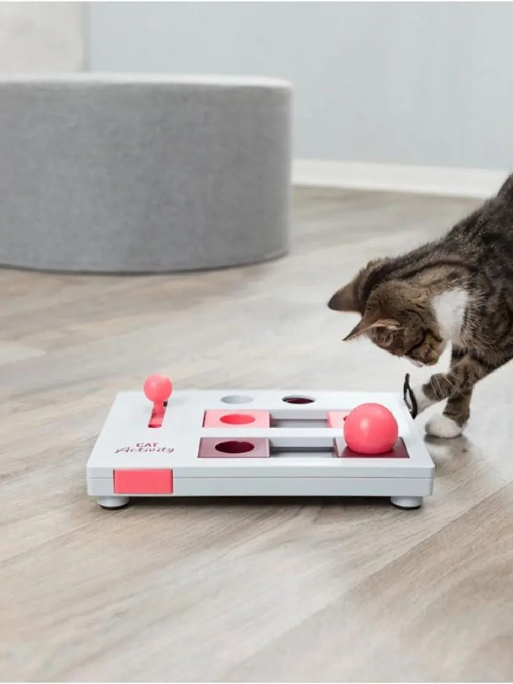 Set of 2 Cat Brain Teaser toys
